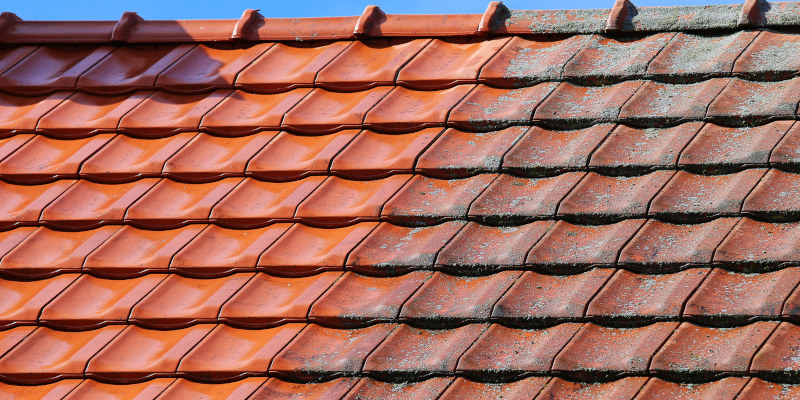 Roof Cleaning in Long Valley, New Jeysey