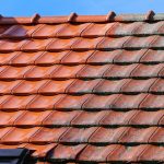 Roof Cleaning